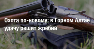 4428dbf1cd7bad2f85ff1de2eb5db3fd.jpg