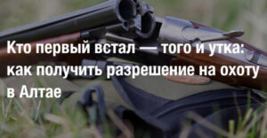 7500d0ce18727fd24458703ca27b8b7a.jpg
