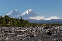007537431646dced1e7e9bcfd7724179.jpg