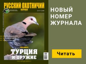 3f9d2746fbbce5b2ddd1afd09a77a6b4.png