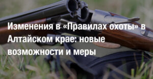 b97729f23c65678ffc82d3416329db84.jpg