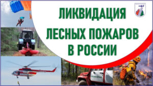 d2a50fe8981d9a07bb9c161e2000965c.jpg