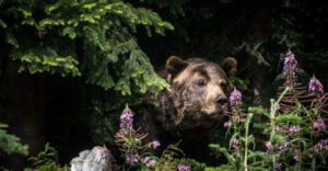 d771944232dc315b143d2548d760baa3.jpg