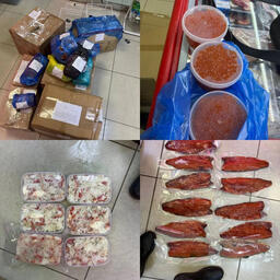 efab31bd6c0600a785a85fd38a7848ce.jpg
