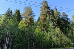 fae86db7544468ca1876aa2d79ef0cfc.jpg
