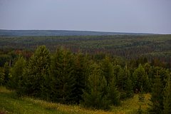 42c549b65574789d66cf6fc451610232.jpg